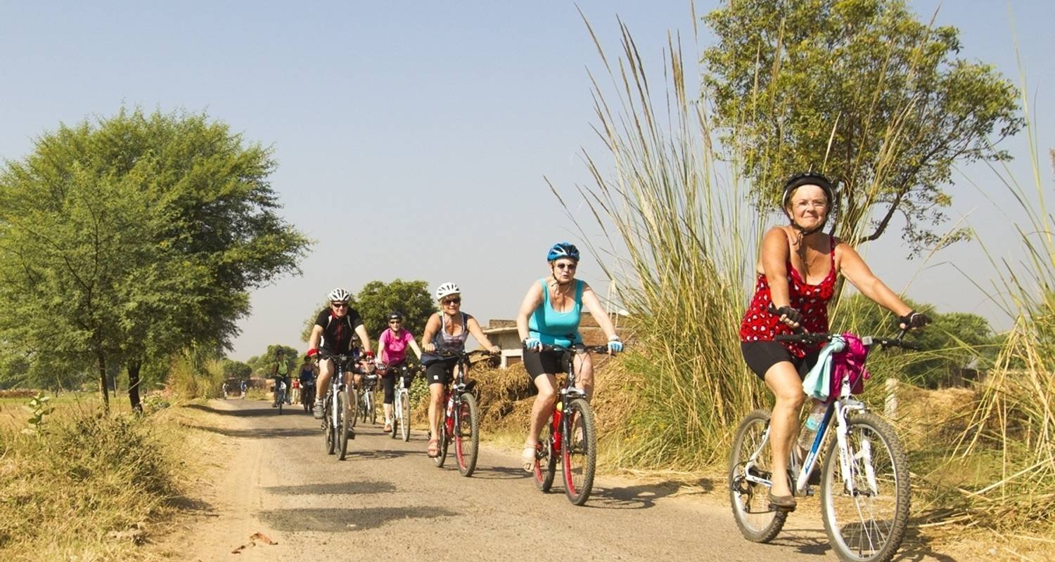 Cycling in Munnar & Periyar: The High Range Expedition 4 Days